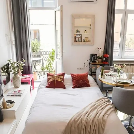 Apartman Bright Haven High Ceilings And Balcony In Kolozsvár
