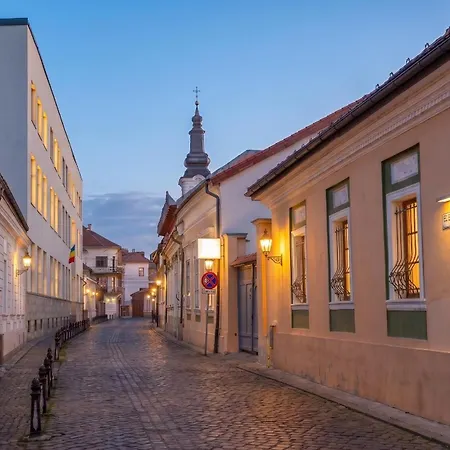 Bright Haven High Ceilings And Balcony In Apartman Kolozsvár